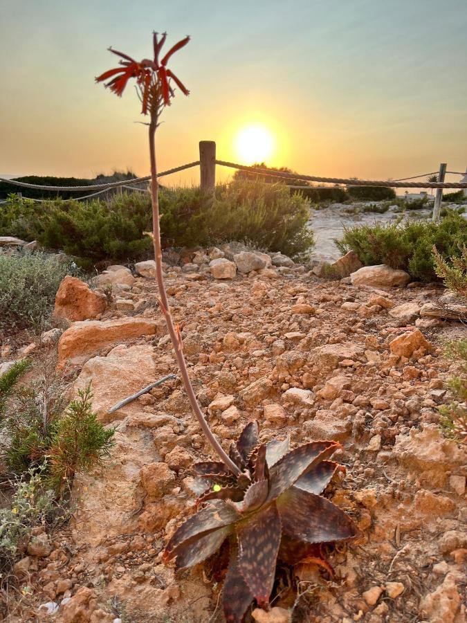 Arenas Del Mar Formentera Villa Es Arenals Exterior photo